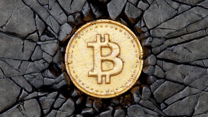 Bitcoin Barely Bobbles After Halving Bitcoin Barely Bobbles After Halving
