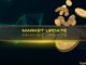 Bitcoin Crashes 8% Amid Massive Volatility and Geopoltical Woes as Crypto Markets Tumble: This Week's Recap
