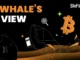 Blofin Whales’ View: War, Gold and Crypto