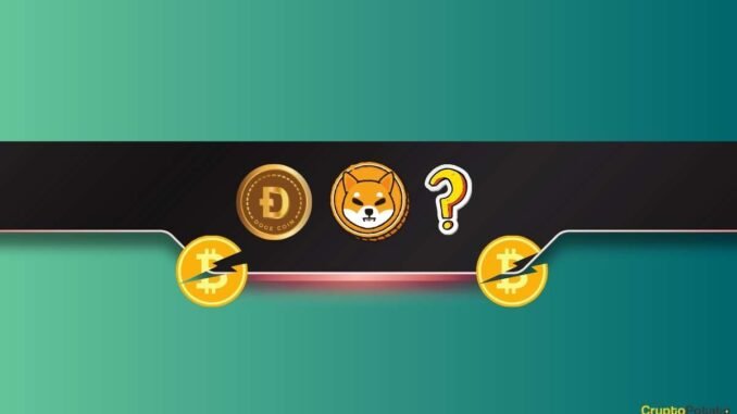 ChatGPT Analyzes Which Meme Coin Will Perform the Best After the Bitcoin (BTC) Halving
