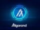 Crypto price predictions: BitBot, Pepe, Algorand (ALGO)