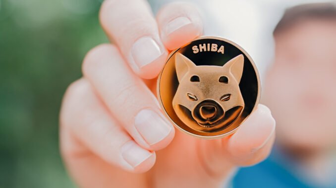 Shiba Inu Shibarium Faces Technical Glitch: Network Outage Hinders User Shibarium
