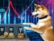 Shiba Inu Staking K9 Finance