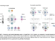 AgentClinic: Simulating Clinical Environments for Assessing Language Models in Healthcare