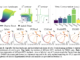 FAMO: A Fast Optimization Method for Multitask Learning (MTL) that Mitigates the Conflicting Gradients using O(1) Space and Time