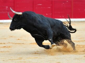 Injective, Fantom soar as Bitcoin price surges past $68k