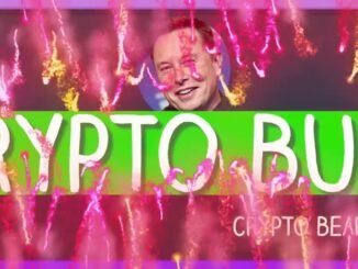 Crypto Explained for Beginners: Bulls vs Bears 🐃🐻 Hamster Kombat: Hamster Academy