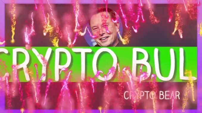 Crypto Explained for Beginners: Bulls vs Bears 🐃🐻 Hamster Kombat: Hamster Academy