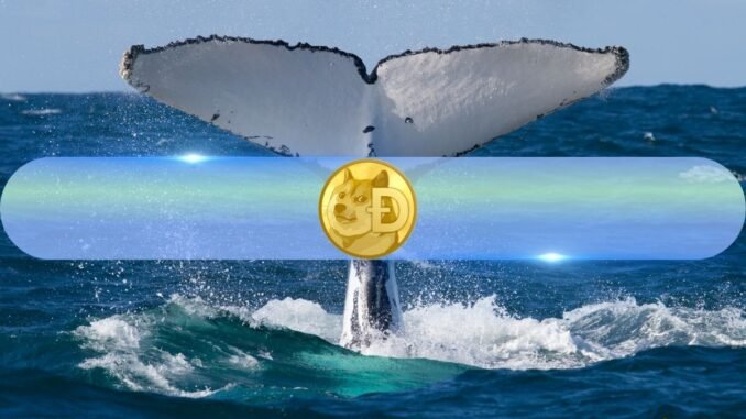 Dogecoin Whales Signal Bullish Sentiment, Stack Up 200 Million DOGE