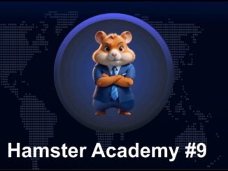 How Does a Crypto Exchange Work: A Beginner's Guide 🐹Hamster Academy