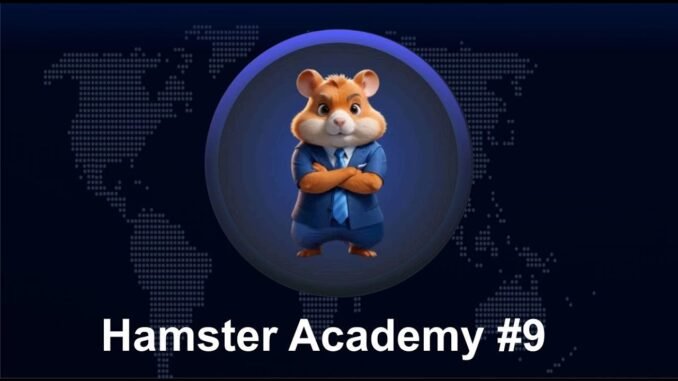 How Does a Crypto Exchange Work: A Beginner's Guide 🐹Hamster Academy