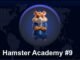 How Does a Crypto Exchange Work: A Beginner's Guide 🐹Hamster Academy