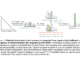 How Scale Impacts Predicting Downstream Capabilities of Frontier AI Models: Understanding the Elusiveness