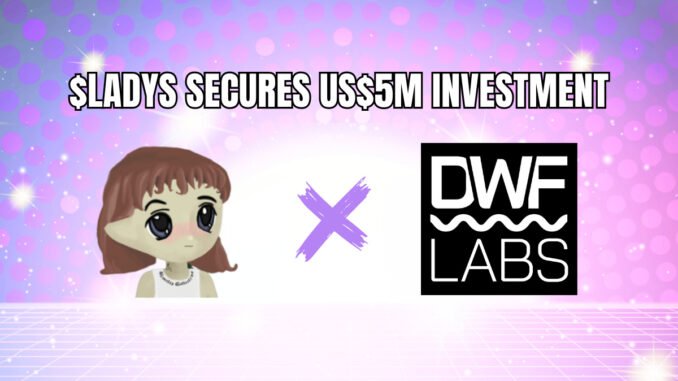 Milady Meme Coin Secures US$5 Million Investment from DWF Labs