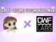 Milady Meme Coin Secures US$5 Million Investment from DWF Labs