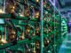 Miners continue reporting declines in Bitcoin production following halving