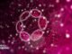 Polkadot Ecosystem Goes Multi-Chain With XCM Launch