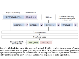 ProtEx: Enhancing Protein Function Prediction with Retrieval-Augmented Deep Learning