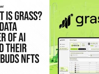 What is Grass AI? The Data Layer of AI