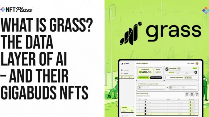 What is Grass AI? The Data Layer of AI