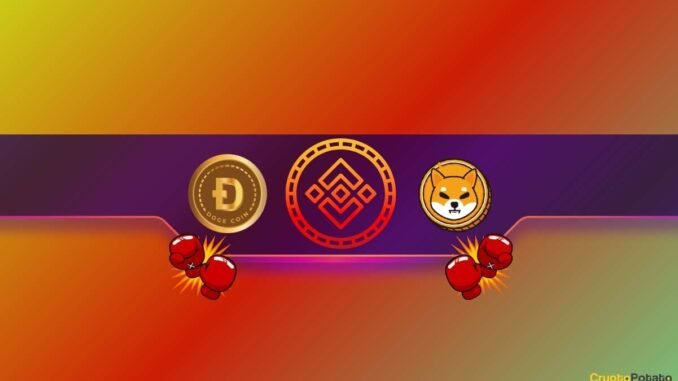 Big Binance Announcement for Shiba Inu (SHIB) and Dogecoin (DOGE) Big Binance Announcement for Shiba Inu (SHIB) and Dogecoin (DOGE) Traders: Details