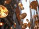 Bitcoin ETFs see almost $1 billion in inflows since Friday ahead of Ethereum ETF launches