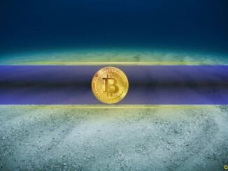 Bitcoin’s Price May Have Bottomed Out, But There’s a Catch: CryptoQuant