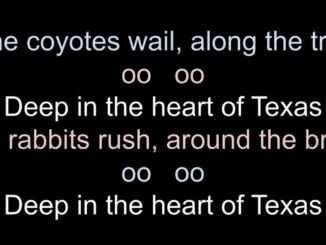 Deep in the Heart of Texa  AI Guide Track 1