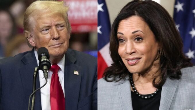 Dems Could Sell Off All Bitcoin To Thwart Trump's Plan: Trump Harris Bitcoin Strategic Reserve Stockpile