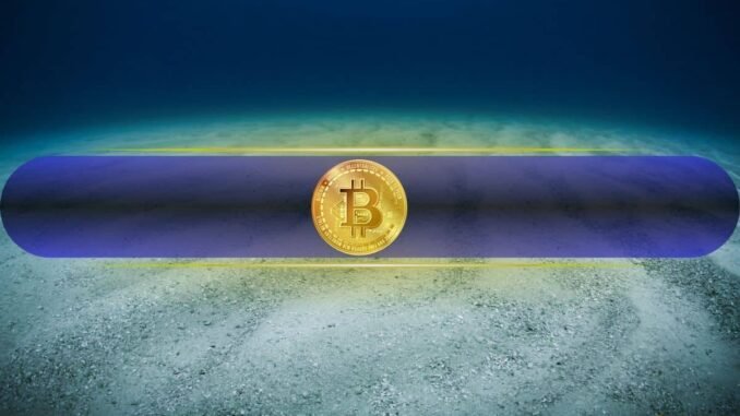 Did Bitcoin Bottom? This is How to Know
