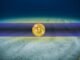 Did Bitcoin Bottom? This is How to Know