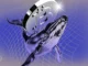 Bitcoin Whale Makes Over 500,000% Gains Resurfacing After 12 Dormant Years