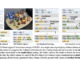 Enhancing Vision-Language Models: Addressing Multi-Object Hallucination and Cultural Inclusivity for Improved Visual Assistance in Diverse Contexts