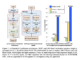 Optimizing Memory for Large-Scale NLP Models: A Look at MINI-SEQUENCE TRANSFORMER