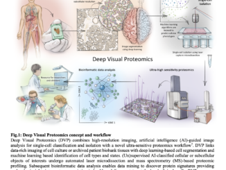 Revolutionizing Cellular Analysis: Deep Visual Proteomics Integrates AI and Mass Spectrometry for Advanced Phenotyping