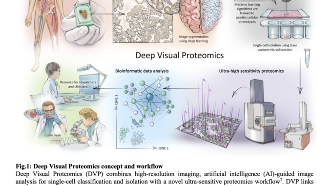 Revolutionizing Cellular Analysis: Deep Visual Proteomics Integrates AI and Mass Revolutionizing Cellular Analysis: Deep Visual Proteomics Integrates AI and Mass Spectrometry for Advanced Phenotyping