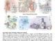 Revolutionizing Cellular Analysis: Deep Visual Proteomics Integrates AI and Mass Spectrometry for Advanced Phenotyping
