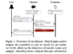 This AI Paper from the National University of Singapore Introduces a Defense Against Adversarial Attacks on LLMs Utilizing Self-Evaluation