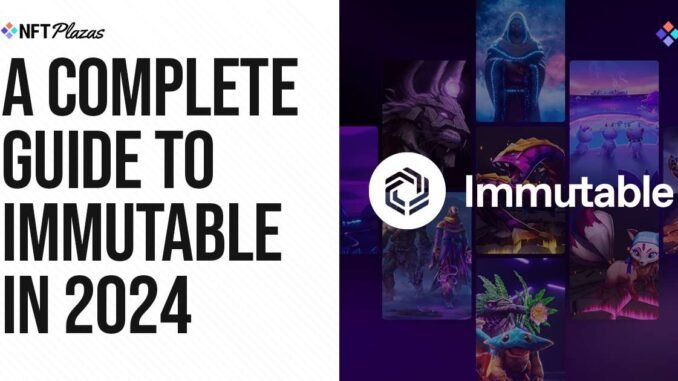 A Complete Guide to Immutable in 2024 A Complete Guide to Immutable in 2024