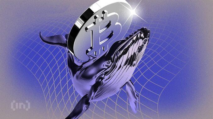 Crypto Whale Activity Sparks Quick Market Rebound Crypto Whale Accumulations Drive Swift Market Recovery, Say Analysts