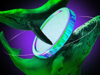 Crypto Whales Bought These Altcoins in the Second Week of August 2024