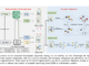 DaRec: A Novel Plug-and-Play Alignment Framework for LLMs and Collaborative Models