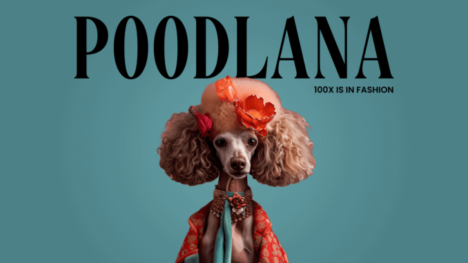 Poodlana token listing nears as Ripple ruling boosts sentiment Poodlana raises over $666k within hours of launching