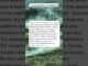 #Shorts AI News v1.5 | 28 August 2024 Wednesday 17:45