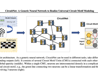 CircuitNet: A Brain-Inspired Neural Network Architecture for Enhanced Task Performance Across Diverse Domains