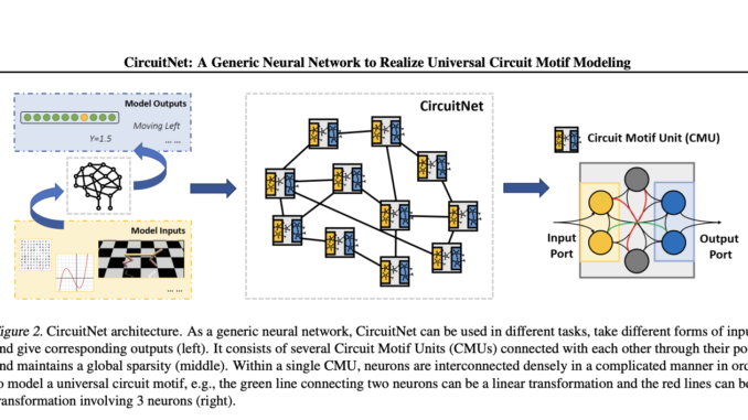 CircuitNet: A Brain-Inspired Neural Network Architecture for Enhanced Task Performance Across Diverse Domains