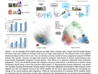 Google DeepMind Researchers Propose Human-Centric Alignment for Vision Models to Boost AI Generalization and Interpretation