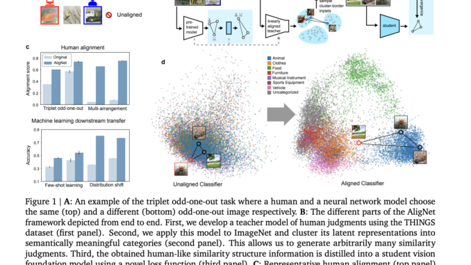 Google DeepMind Researchers Propose Human-Centric Alignment for Vision Models to Boost AI Generalization and Interpretation
