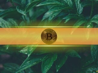 Here’s Why Bitcoin Gained Over 20% in 3 Weeks: But Can it Go Higher?