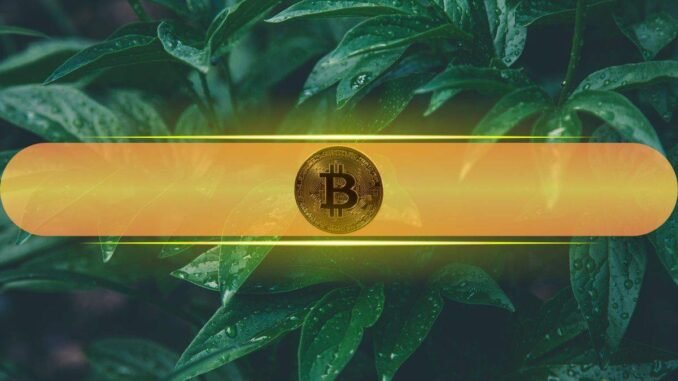 Here’s Why Bitcoin Gained Over 20% in 3 Weeks: But Here’s Why Bitcoin Gained Over 20% in 3 Weeks: But Can it Go Higher?